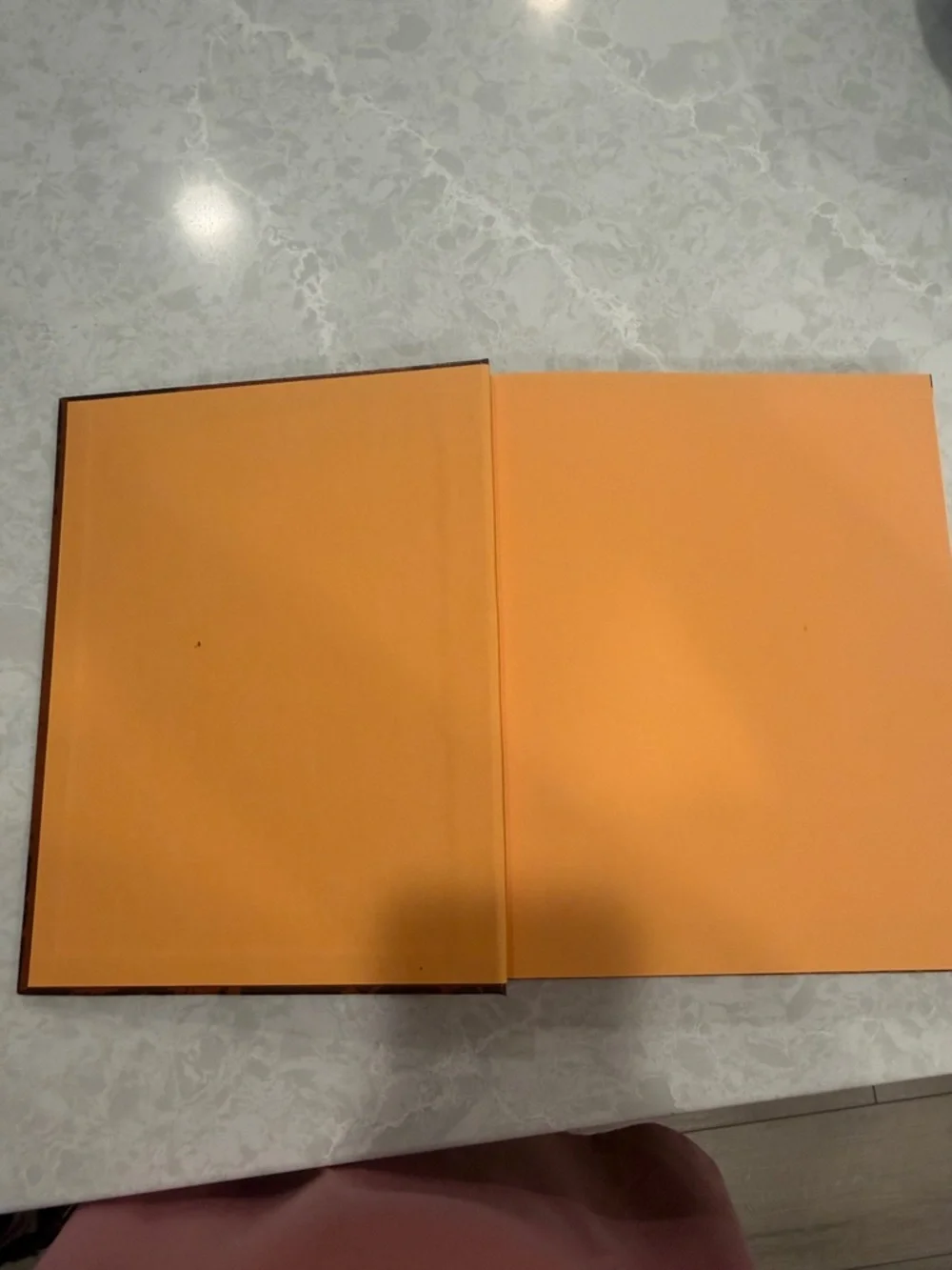The Pioneer Woman Cooks Cookbook - Brown Cover